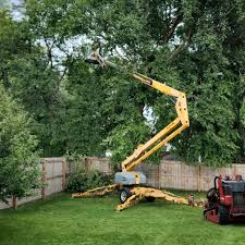 Best Tree Risk Assessment  in Coloma, MI